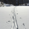 Отель Villa Antelope Hakuba, фото 8