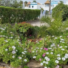 Отель Quinta Velha 22, фото 16