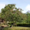 Отель Tempuran Hills Homestay, фото 3