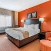 Отель Quality Inn & Suites, фото 22