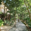 Отель Elegant Eco-chic Condo Amongst Nature in Aldea Zama Wifi Concierge, фото 25