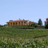 Отель Fabulous Mansion in Nizza Monferrato with Swimming Pool, фото 7