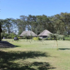 Отель Cactus Eco Camp and Lodge, фото 4