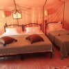 Отель Etoile Sahara Camp, фото 3