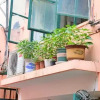 Отель 【Nest】Guesthouse near Xujiahui, фото 10