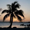 Отель Little Conch Key, фото 9