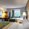 Отель Comfort Inn & Suites Airport Dulles-Gateway, фото 4