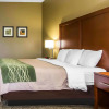 Отель Comfort Inn And Suites, фото 5