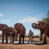 Отель Buffelsdrift Game Lodge, фото 40