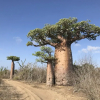 Отель Manga Lodge, фото 17