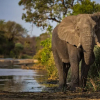 Отель Geiger's Camp, фото 24
