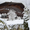 Отель Gästehaus Falkner Dorli, фото 1