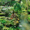 Отель Natural Place, фото 8