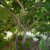 Отель Agroturismo Ca n'Escandell, фото 23
