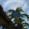 Отель Mauras Tropical Mini Hostel, фото 4