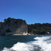 Отель Whangamata Vistas B&B, фото 31