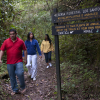 Отель Dantica Cloud Forest Lodge, фото 23
