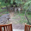 Отель Hout Huisie Wooden House Self Catering Africa Bush Vacation In Marloth Park, фото 2