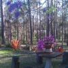 Отель Springwood Meditation Vacation Center, фото 10