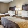 Отель Quality Inn & Suites near I-80 and I-294, фото 4