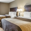 Отель Quality Inn & Suites near I-80 and I-294, фото 24