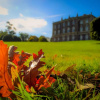 Отель The Alms House Strangford, фото 3
