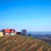 Отель Weingut Albert, Familie Cramer, фото 4