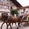 Отель Gasthof zum Rassen, фото 17