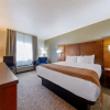 Отель Comfort Inn, фото 5
