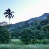 Отель Lanna House บ้านลานนา เชียงดาว, фото 10