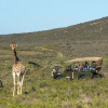 Отель Melozhori Game Reserve, фото 10