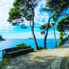 Отель Luxury House Anita in old Town Cavtat-beachfront, фото 14