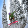 Отель Meadow Lake Resort & Condos, фото 46