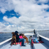 Отель Paisajes del Titicaca Lodge, фото 17