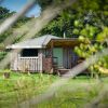 Отель Grey Willow Yurts, фото 14