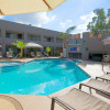 Отель Tempe Phoenix Airport Inn Suites, фото 11