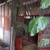 Отель Casa de los Micos Leticia, фото 3