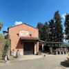Отель Fattoria Sant'Appiano, фото 20