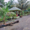 Отель Jungle View Homestay Bukit Lawang, фото 11