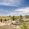 Отель Mara Intrepids Tented Camp, фото 27