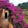 Отель B&B Il Girasole, фото 1