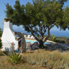Отель Villa Suerzos with panoramic swimming pool in the hills between Budoni and San Teodoro-Villa Suerzos, фото 24