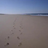 Отель Location Landes Mimizan Plage, фото 1