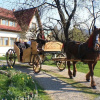 Отель Hildes Residence, фото 16