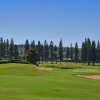 Отель Kapalua Golf S 26t 5&6 1 Bedroom Condo, фото 22