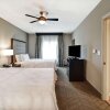 Отель Homewood Suites by Hilton Tampa - Port Richey, фото 7