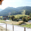 Отель Chalet in Hohentauern Near ski Area With Sauna, фото 21
