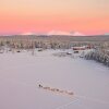 Отель Torassieppi Eco Reindeer Resort, фото 24