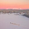 Отель Torassieppi Eco Reindeer Resort, фото 34