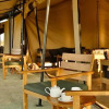 Отель Nyikani Camp- Central Serengeti, фото 8